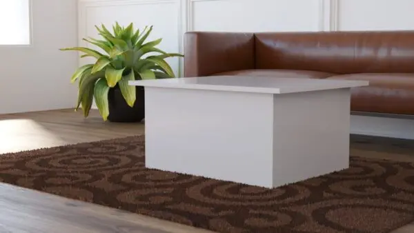 COFFEE TABLE WITH STORAGE - Image 3