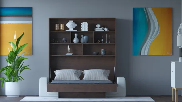 A brown wall-mounted bed with built-in storage compartments.