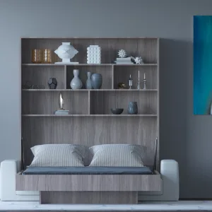 An updated bedroom with a wall bed, bookcase